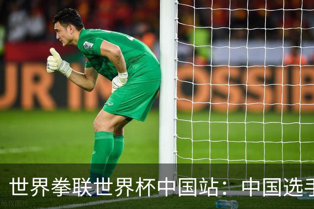 世界拳联世界杯中国站：中国选手斩获5金