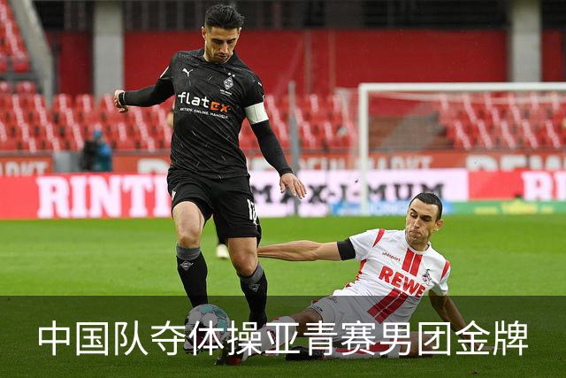中国队夺体操亚青赛男团金牌