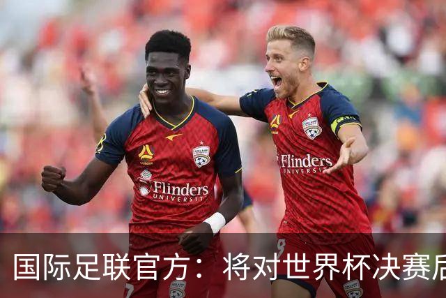 国际足联官方：将对世界杯决赛后两队冲突进行调查