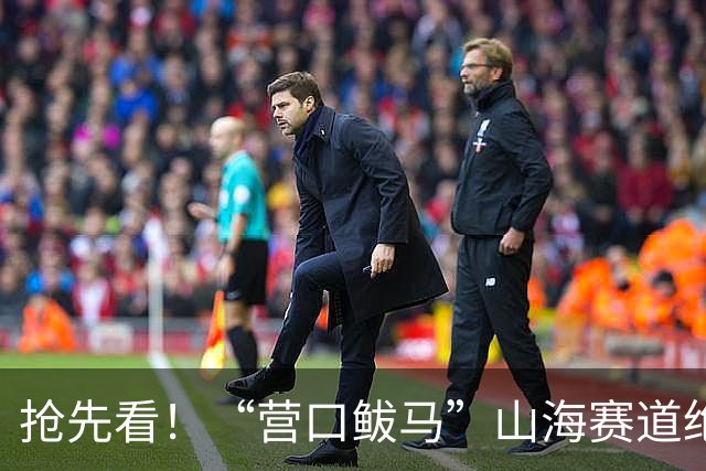 抢先看！“营口鲅马”山海赛道绝美长卷