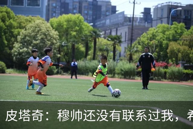 皮塔奇：穆帅还没有联系过我，希望我下赛季能代表皇马踢欧冠