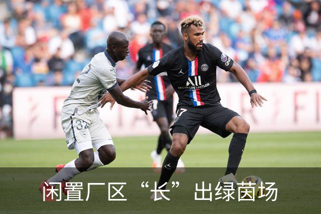 闲置厂区“长”出绿茵场