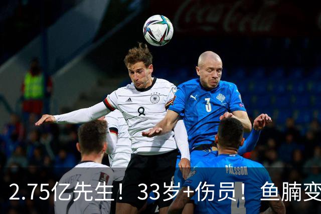 2.75亿先生！33岁+伤员！鱼腩变脸！奇才怎么选？